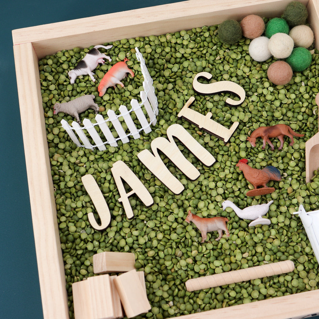 Farm themed sensory kit