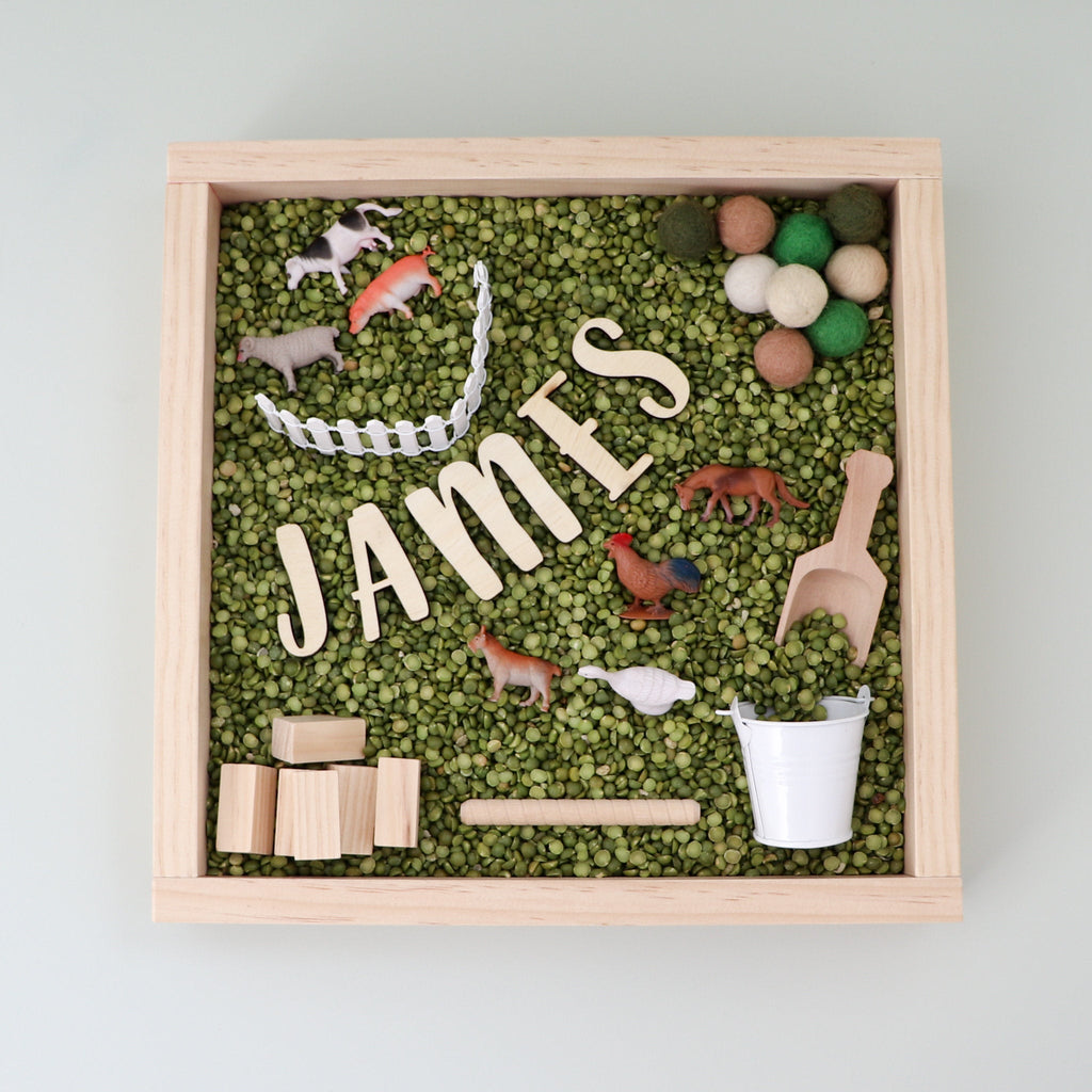 Farm themed sensory kit